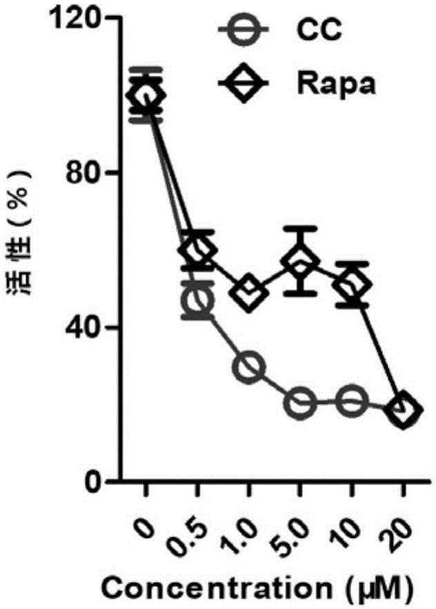 IM电竞平台|香港陷入零售及旅游寒冬推新举措吸引游客(图1) IM电竞平台