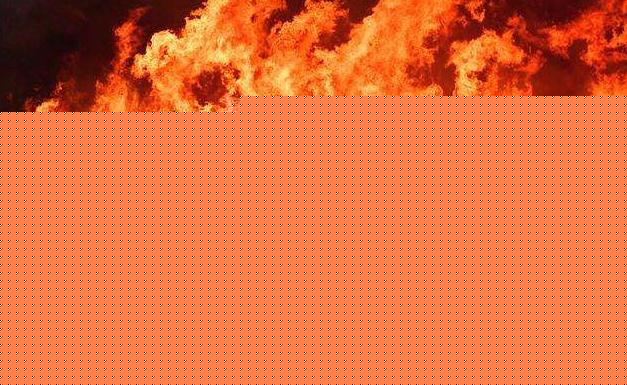 WilkinsonEyre等入围嘉士伯游客中心设计竞赛:IM电竞(图4) IM电竞