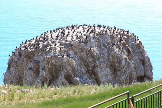 联想在MWC2018发布联想智联网服务——LenovoConnectIoT|IM电竞(图4) IM电竞