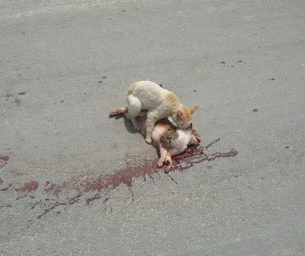 IM电竞平台-C罗性侵案获进展!警方锁定DNA 要求比对C罗样本(图1) IM电竞