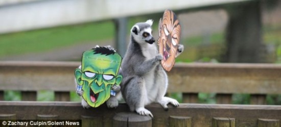 汪小敏学霸学渣完整视频观看地址网友神评论“IM电竞官网”(图4) IM电竞